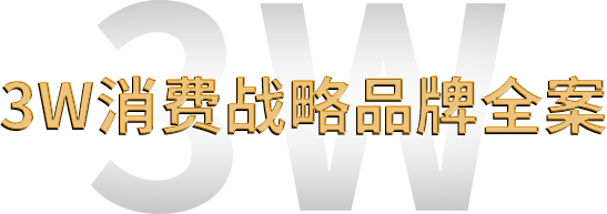 3W消費(fèi)戰(zhàn)略品牌全案 3W消費(fèi)戰(zhàn)略品牌全案